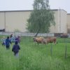 Vycházka za zvířátky - 1.A.+1.B.