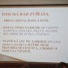 Prezentace k projektu Chodící lidé