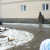 dravi_ptaci_v_MS