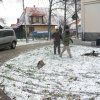 dravi_ptaci_v_MS