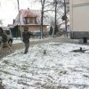 dravi_ptaci_v_MS