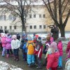 dravi_ptaci_v_MS