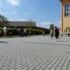 p1050498