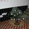 prosinec_v_MS